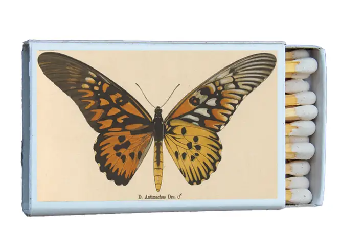 Matches