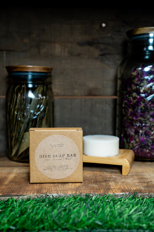 Dish Soap Bar